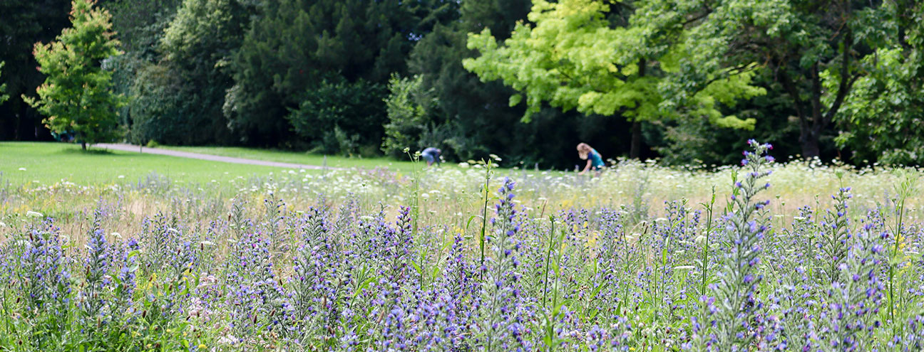 Biodiversité et milieux naturels