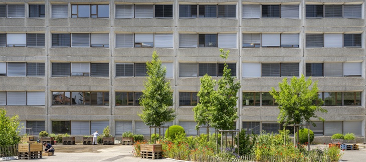 COOL CITY : réduire la chaleur urbaine et renforcer le confort climatique 