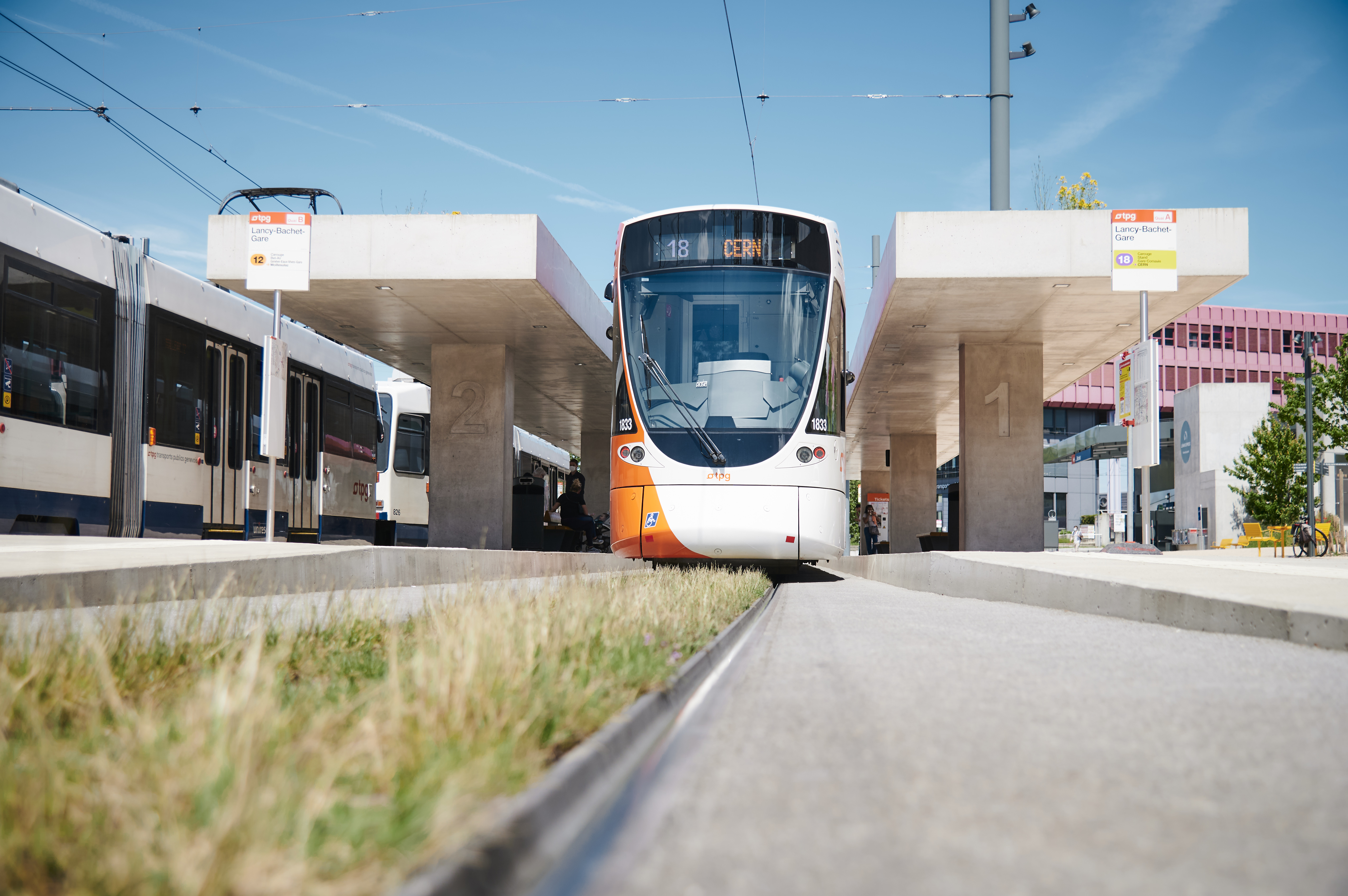 Un investissement massif pour une flotte TPG 100 % électrique à l’horizon 2030