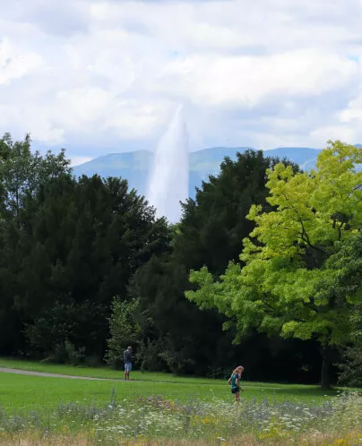 stratégie climatique cantonale